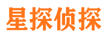 岑巩侦探公司